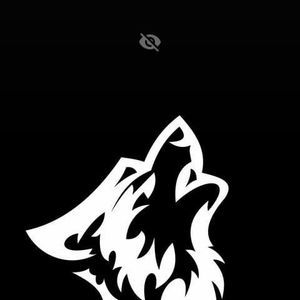 Meet your Posher, Donovan